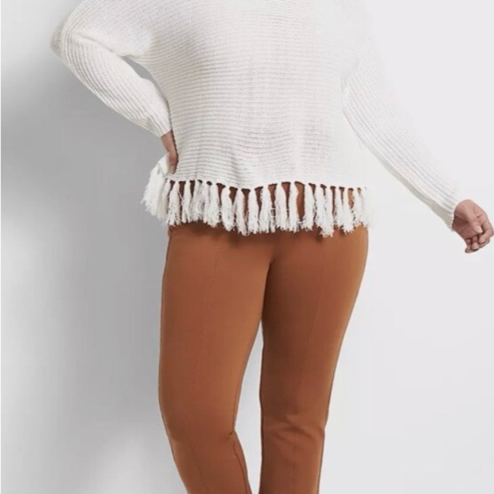 Lane Bryant Rust Orange Garment